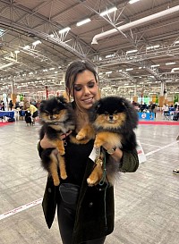 Nous faisons régulièrement des expositions canines nationales et internationales (France, Belgique, Luxembourg, Pays Bas...). Nos chiens ont remportés de multiples expositions, ce qui est, à nos yeux, un gage de qualité, car ils ont été jugé et apprécié par des juges connaissant les critères de la race,  afin de toujours permettre une amélioration de la race.  +++. Leurs résultats obtenus en exposition sont visibles sur leur fiche se trouvant sur la Centrale Canine.